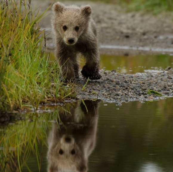 🌈 Soft Bear Cozy Set (Eye Mask & Socks) - Picture 2 of 2